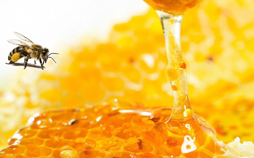 EMPRESA APICOLA CUBANA