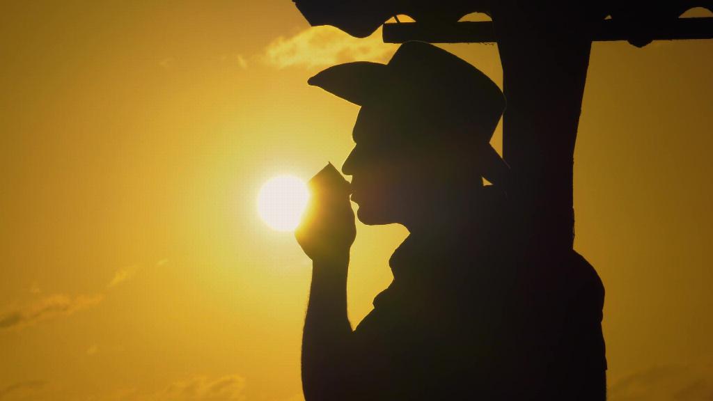 EMPRESA AGROFORESTAL TERCER FRENTE