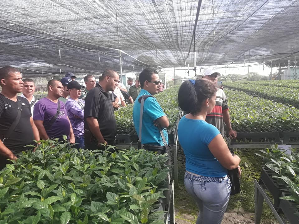 Café con ciencia y trabajo en el Escambray