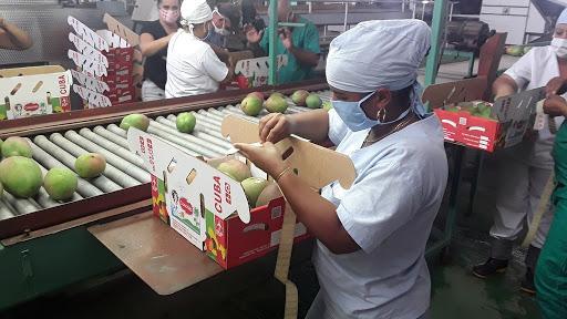 Cienfuegos increases productions for export