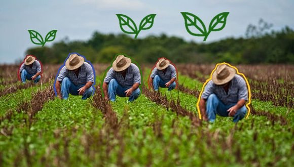 Avanza la agricultura en la implementación de nuevas alternativas para la protección de los cultivos