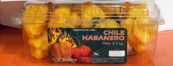 Chile habanero exhibits stable demand in the international market