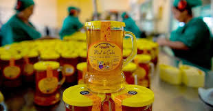 Crece exportación de miel desde provincia de Cuba