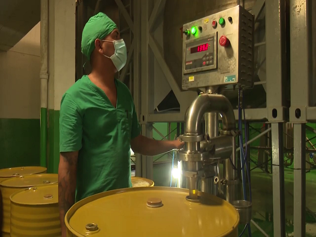 It contributes to the economy with its exports Santiago de Cuba Honey Processing Plant