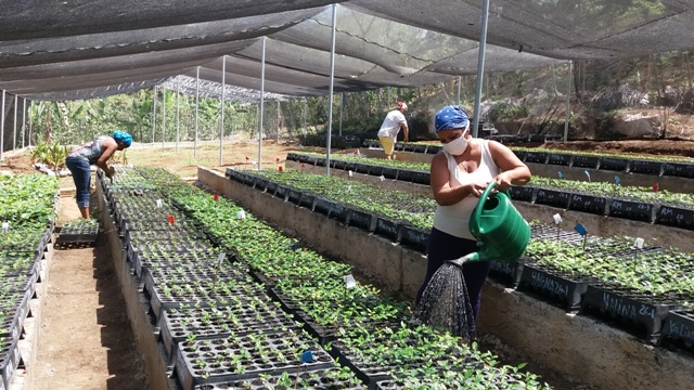 UBPC La Calabaza: Una nueva escuela en la montaña