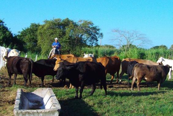 They analyze implementation of measures to boost the agricultural sector in Cuba