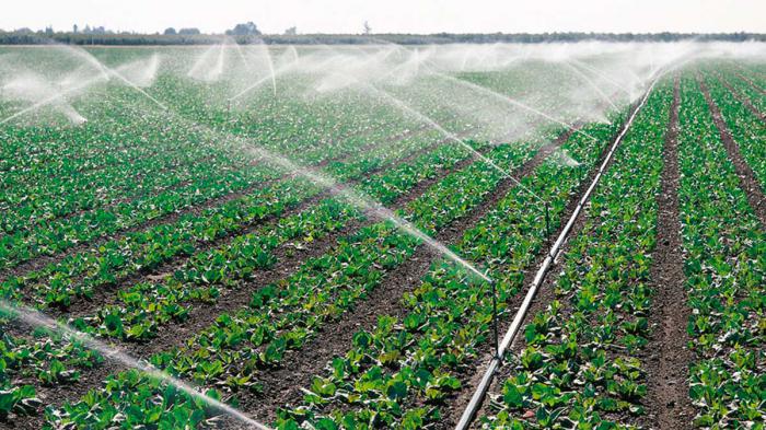 Progress in the contracting of water to producers in the agricultural sector in Las Tunas