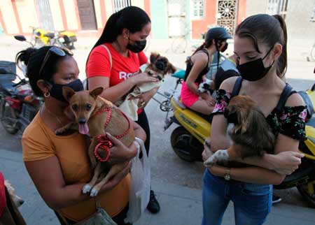 Primera Feria de Adopción de Mascotas en Cuba